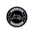 Panthers Bottle Opener Magnet