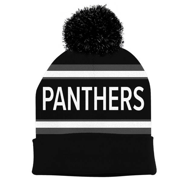 panthers beanie
