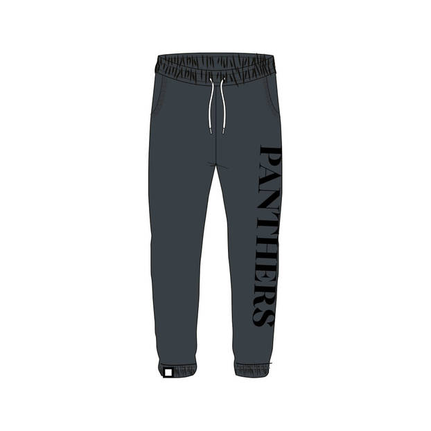 Panther Shop – Panthers Youth Old School Track Pants