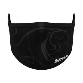 Panthers Face Mask