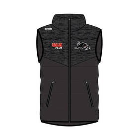 2021 Panthers Men's Padded Vest
