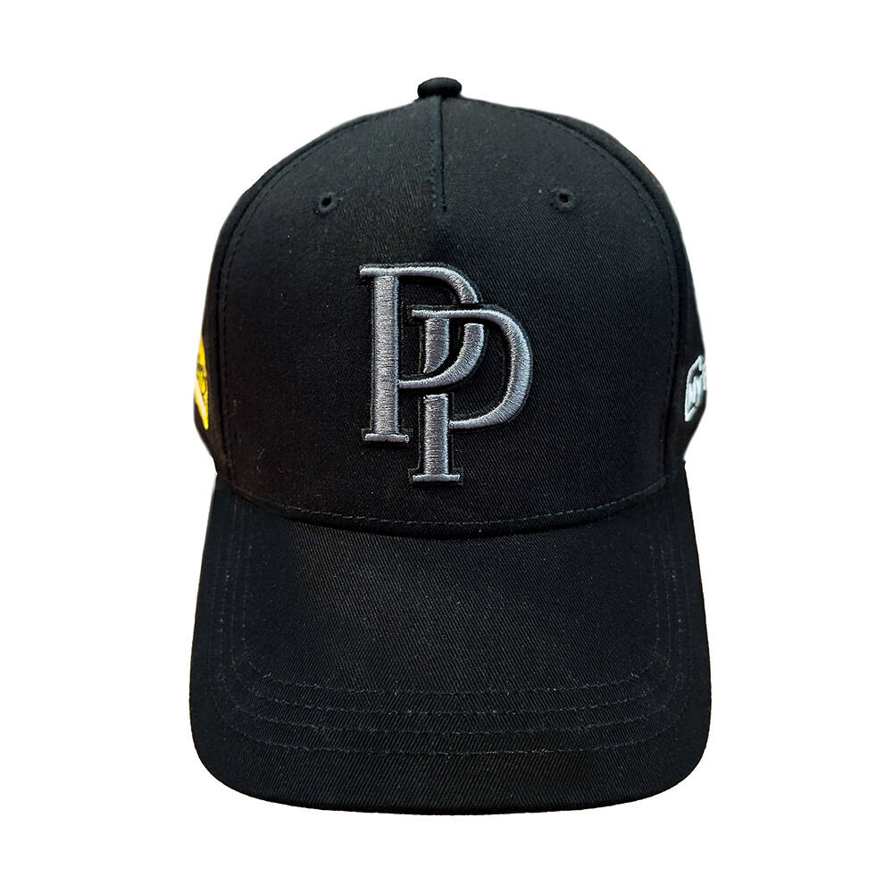 2026 Panthers Media Cap