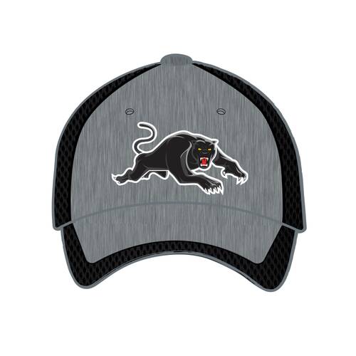 2020 Panthers Training Cap